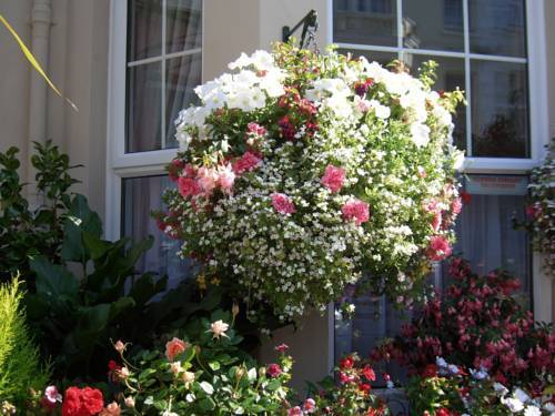 Loriston Guest House Eastbourne Dış mekan fotoğraf